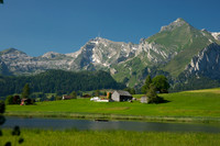 Landscape